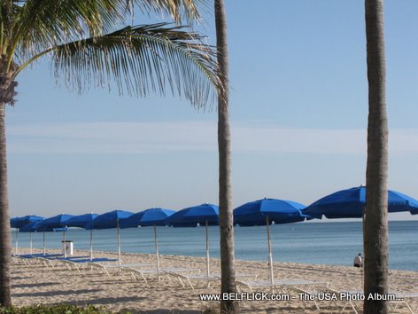 Beach Umbrellas In The Sandy Beach Of Fort Lauderdale